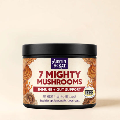 Seven Mighty Mushrooms powders from Austin and Kat displayed in a clear jar with fresh mushroom ingredients around.