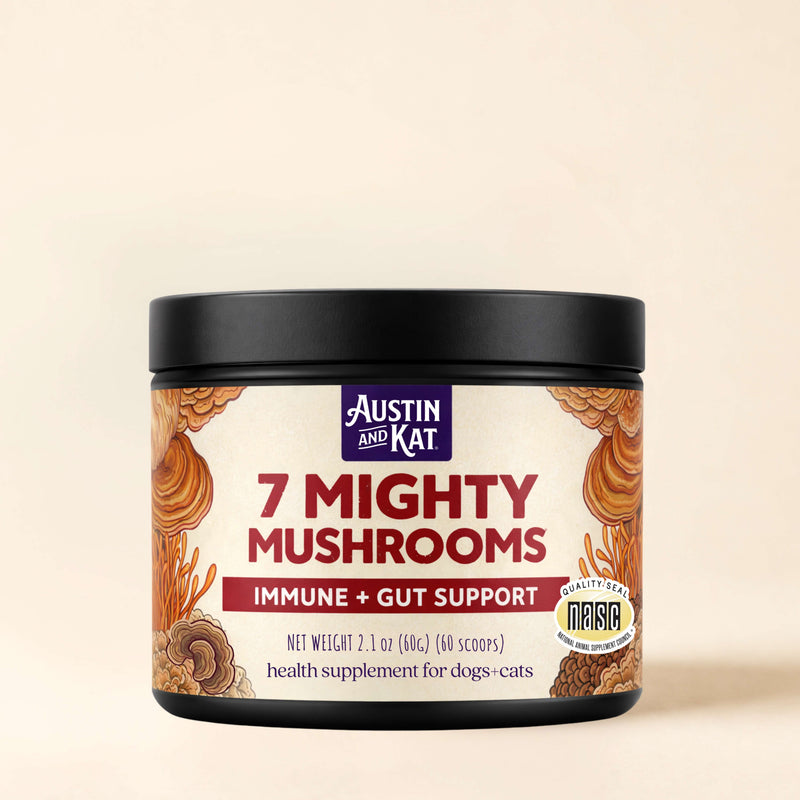 Seven Mighty Mushrooms supplement toppers in a clear jar, featuring a mix of colorful dried mushroom slices and herbs for health.