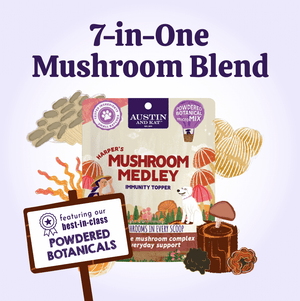 Austin and Kat Organic Mushroom Immune Support support meal powder for dogs combines best in class botanical powders from fruiting organic mushrooms for a 7-in-one mushroom super blend.