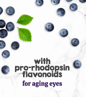 Austin and Kat CBD Oil for Senior Dogs featured ingredients blueberry adds pro-rhodopsin flavonoids for aging eye health.