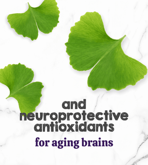 Austin and Kat CBD Oil for Senior Dogs featured ingredients ginkgo biloba’s neuroprotective antioxidants support aging brains and cognition.