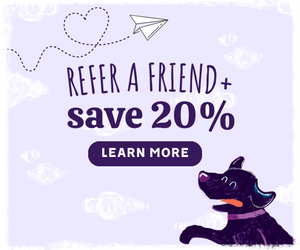 Cartoon dog with a paper airplane promoting Austin and Kat's 20% off referral program - give 20%, get 20% when you share us with your pack!