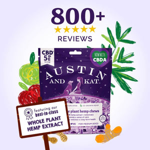 Austin and Kat CBD Hemp Chews for Dogs with best-in-class whole plant hemp extracts and over 800 five star reviews