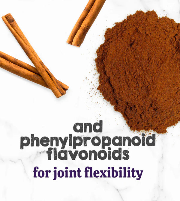 ceylon cinnamon