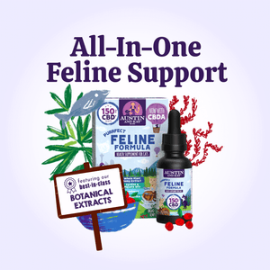Austin and Kat Feline Support CBD Oil for cats combines best in class botanical extracts with minimally processed whole plant hemp extract, rich in CBD + CBDA, for all-in-one feline support.