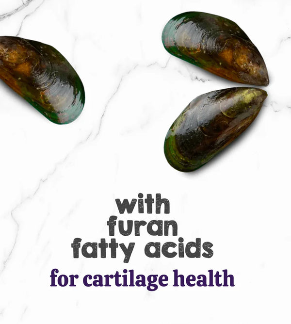 green mussel oil