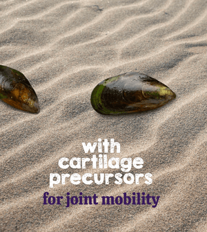 Austin and Kat mobility support botanical topper for dogs and cats featured ingredient green lipped mussel with cartilage precusors for joint mobility.