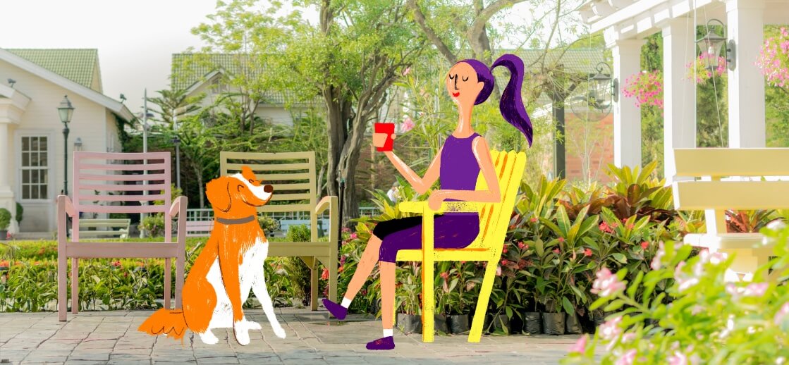 Support Your Senior Dog's Well-Being with Austin and Kat's CBD Chew - Expertly crafted for dogs aged 6 and above. A blend of health-promoting botanicals, including ginkgo biloba, cordyceps mushroom superblend, and curcumin, combined with our new BLEND#4 whole plant hemp extract enriched with CBD+CBDA.