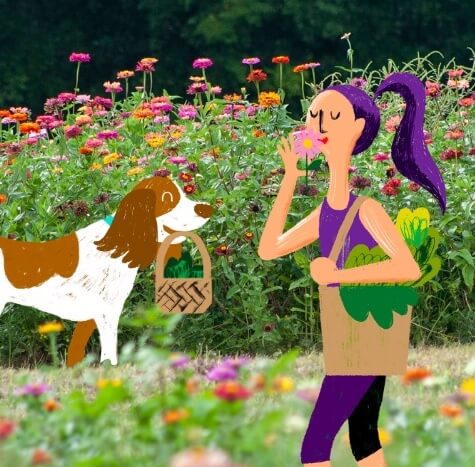 Bestselling Dog Calming Soft Chews by Austin and Kat - A natural solution for your dog's stress and anxiety. Formulated with calming botanicals, including lavender and chamomile, and the powerful lion's mane mushroom superblend, infused with our new BLEND#4 CBD+CBDA whole plant hemp extract.