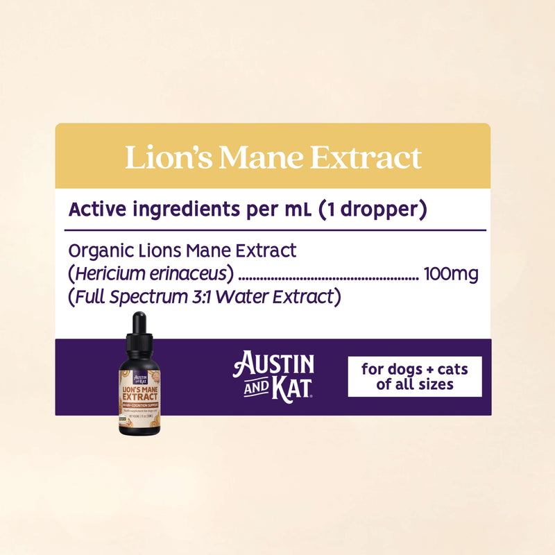 Austin and Kat Lion's Mane Extract tincture bottle with dropper, showing the product label and clear glass container.