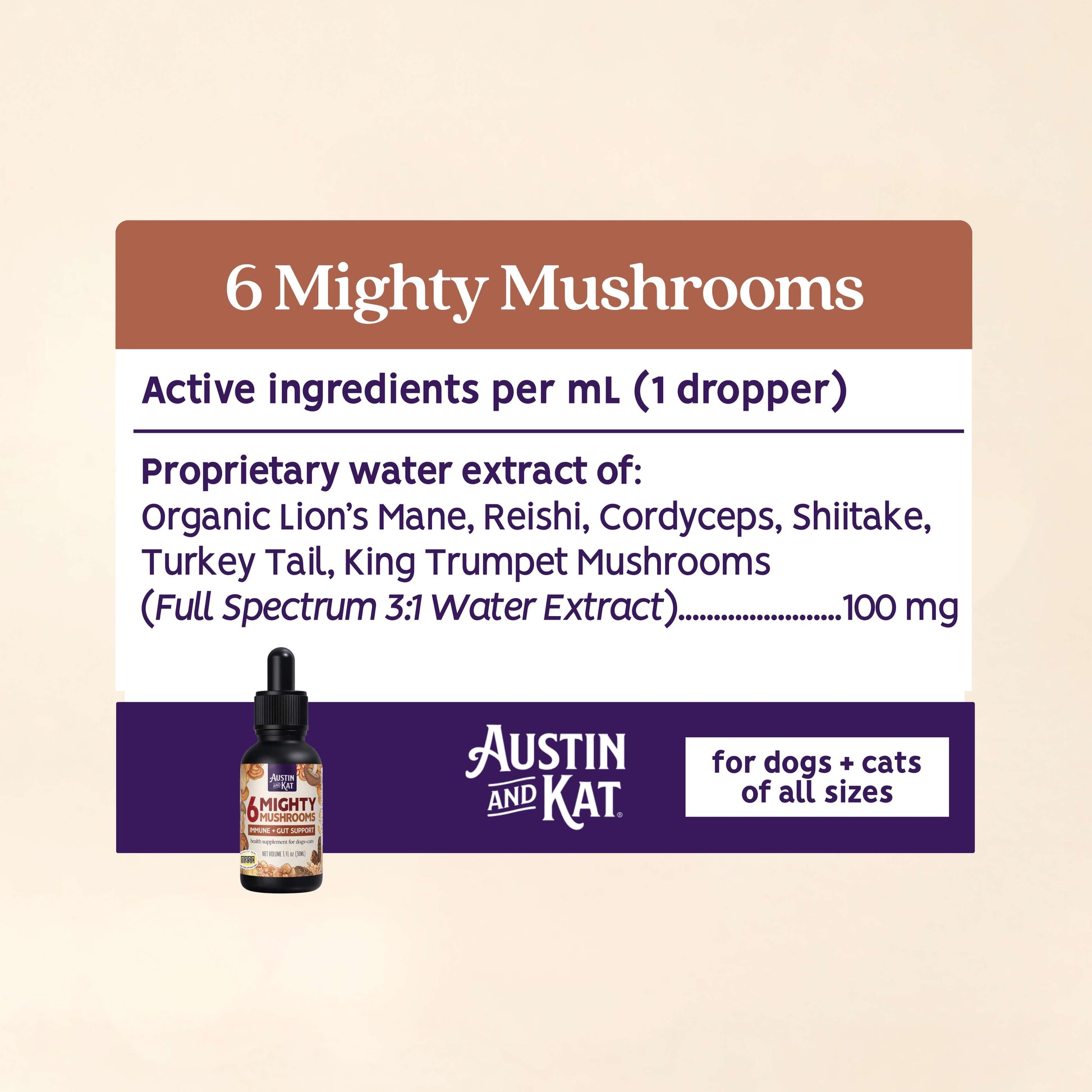 Six Mighty Mushrooms tinctures in glass bottles from Austin and Kat, featuring colorful mushroom illustrations on the labels.