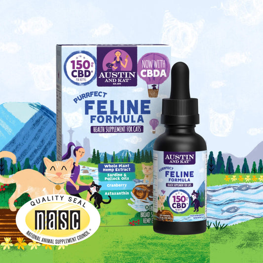 CBD Oil for Cats