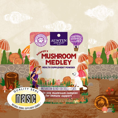 Mushroom Immunity Powder