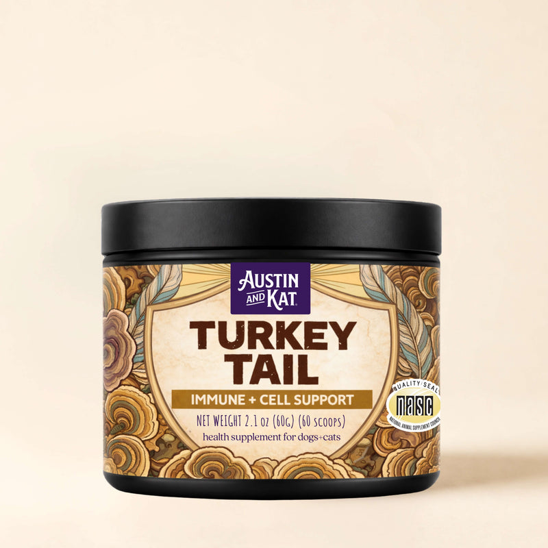 Turkey Tail Mushroom supplement topper by Austin and Kat, featuring dried turkey tail mushroom slices on a natural background.
