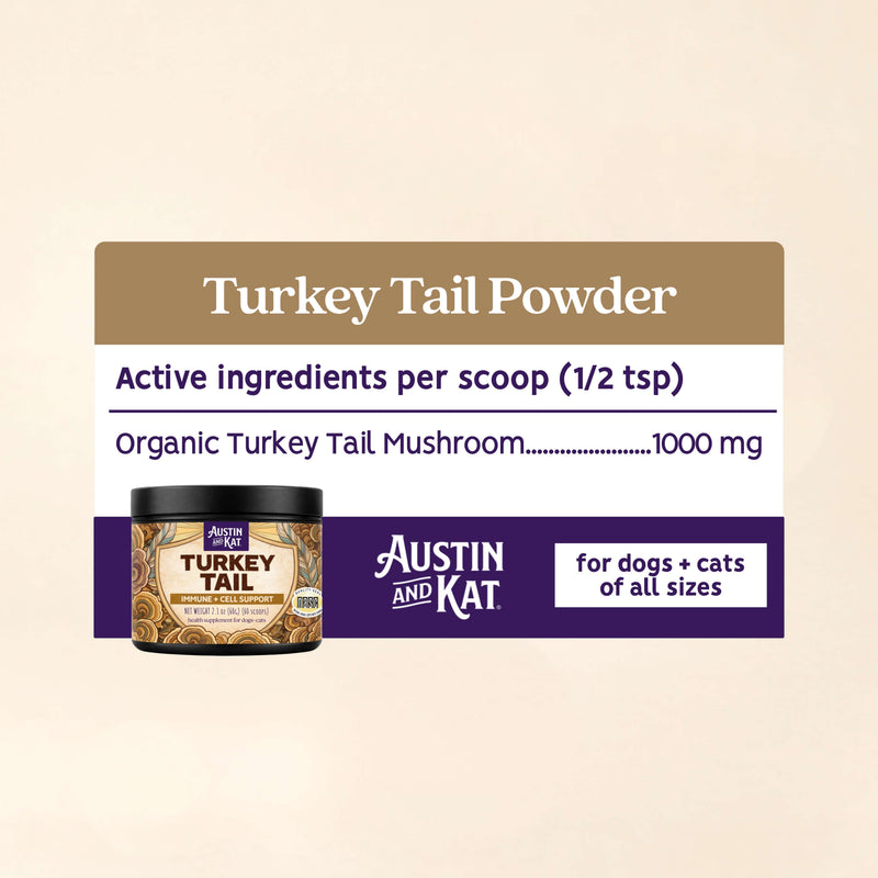 Organic turkey tail mushroom powder from Austin and Kat, showing fine, earthy brown mushroom powder in a clear container.