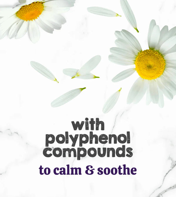 chamomile